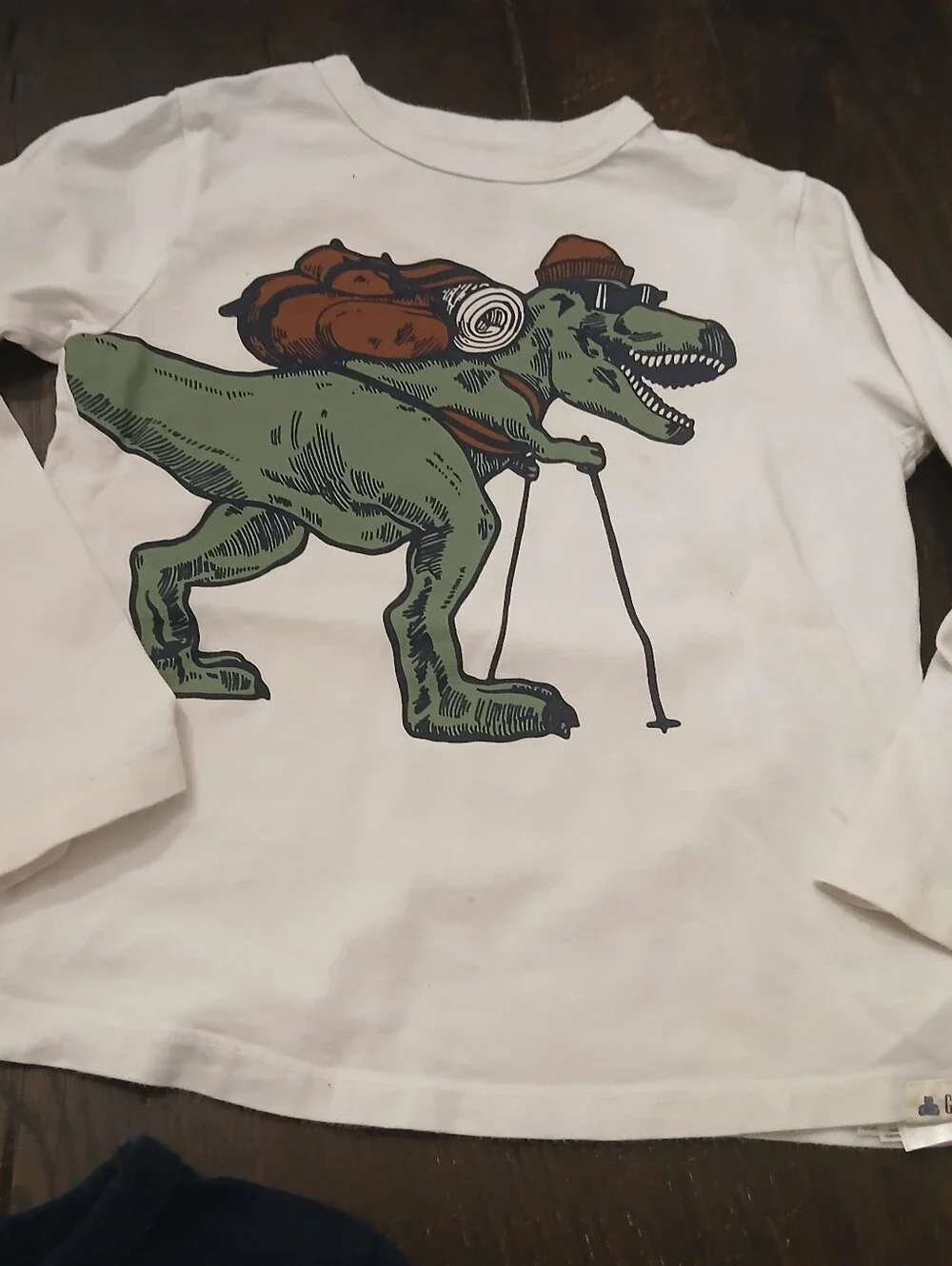 GAP any dino